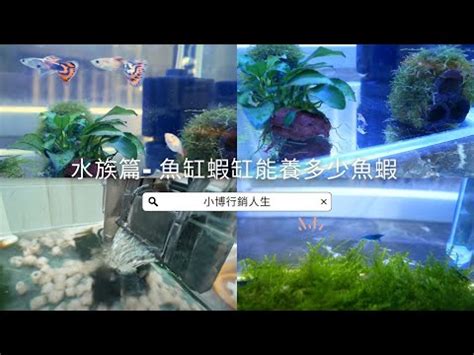 魚缸計算水量|魚缸計算機｜魚缸過濾｜魚缸光照｜魚缸溫度｜魚缸Di